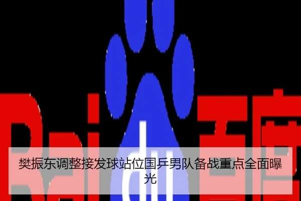 樊振东调整接发球站位国乒男队备战重点全面曝光