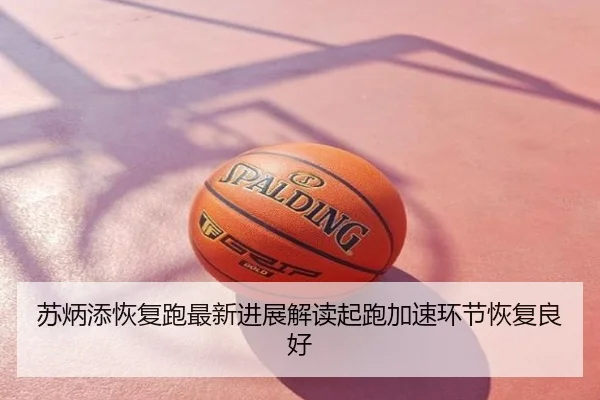 苏炳添恢复跑最新进展解读起跑加速环节恢复良好