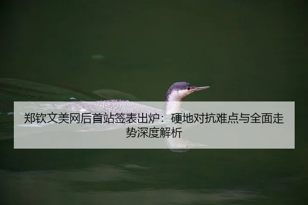 郑钦文美网后首站签表出炉：硬地对抗难点与全面走势深度解析
