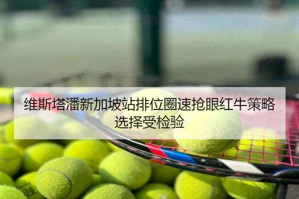 维斯塔潘新加坡站排位圈速抢眼红牛策略选择受检验