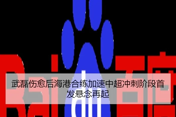 武磊伤愈后海港合练加速中超冲刺阶段首发悬念再起