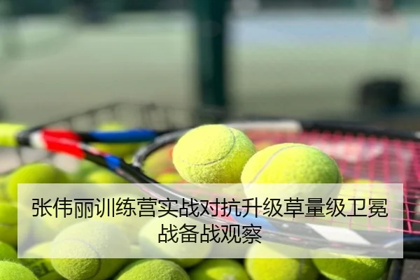 张伟丽训练营实战对抗升级草量级卫冕战备战观察
